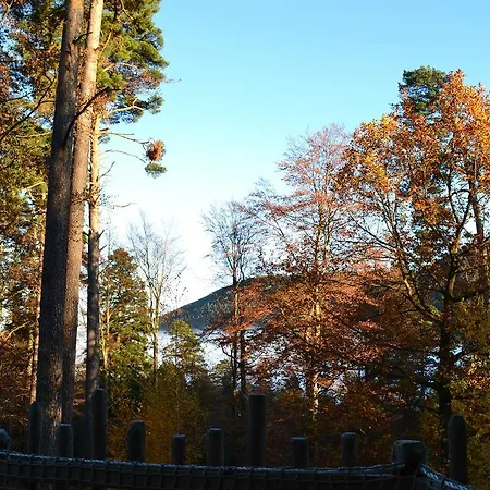 Domaine Hauts De Ribeauville Bed & Breakfast